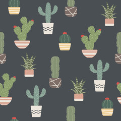Cute cactus on black background seamless pattern - 282404908