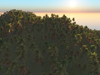 The tropical jungle made in 3D Render