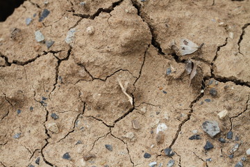 cracked earth texture