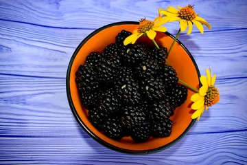 The blackberry is an edible fruit produced by many species in the genus Rubus in the family Rosaceae