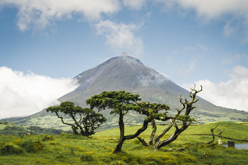 The famous Mount Pico, a volcano, on Pico Island, Azores, Portugal. against blue sky on a summer day - obrazy, fototapety, plakaty
