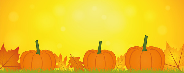 yellow autumn background banner with autumn leaves and pumpkin vector illustration EPS10