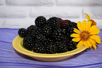 The blackberry is an edible fruit produced by many species in the genus Rubus in the family Rosaceae