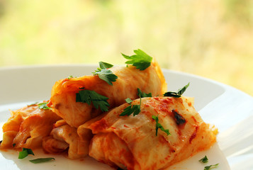 Stuffed cabbage with rice and meat