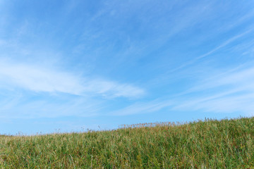 Obraz premium ワッカ原生花園