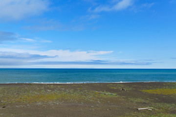 ワッカ原生花園