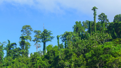 Fototapeta premium Mayalibit bay in Waigeo. Raja Ampat