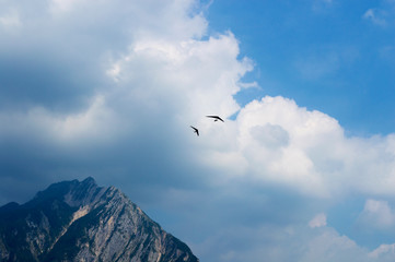 Fototapeta na wymiar Hang glider flies over the beautiful peaks of the Alps