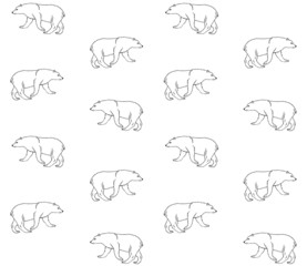 Vector seamless pattern of hand drawn grizzly bear isolated on white background