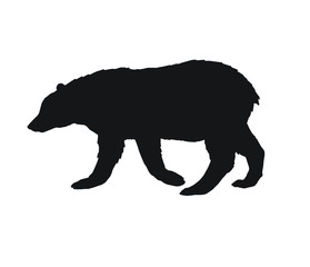 Obraz na płótnie Canvas Vector flat black silhouette of grizzly bear isolated on white background
