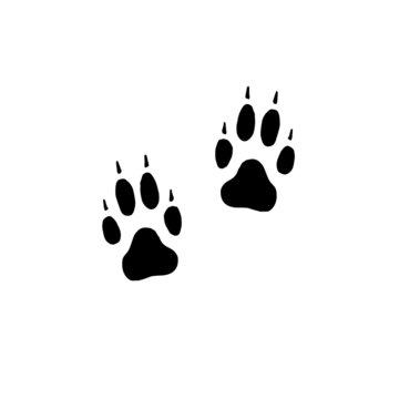 Vector flat black foot prints of wolf or dog steps isolated on white background