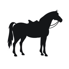 Vector flat black silhouette of horse with saddle and bridle isolated on white background 