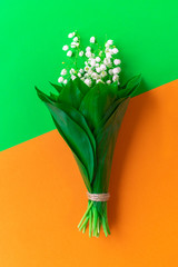top view bouquet of the lily on color paper background