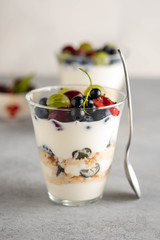 Tiramisu with berries in glasses on grey background. Italian dessert. Copy space.