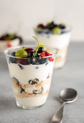 Tiramisu with berries in glasses on grey background. Italian dessert. Copy space.