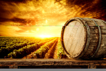 wooden old barrel and vineyard backgroundwith sunset time. 