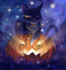 Magic cat on the pumpkin Jack. Halloween, holiday
