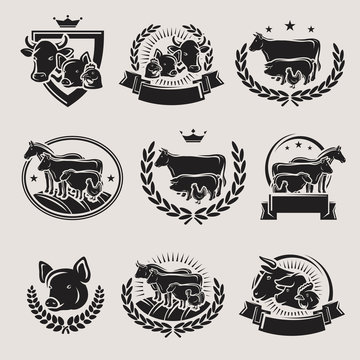 Farm animals labels and elements set. Collection icon farm animals. Vector