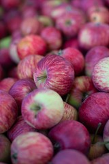 Fresh apples from grandmothers garden