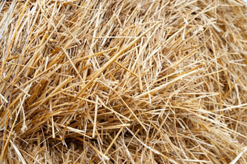 Hay bales texture . Hay bales are stacked in large stacks.