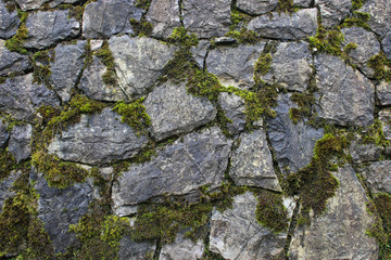 Grunge rock work pattern background with cracks and moss between them. Close up of wet stone wall texture.