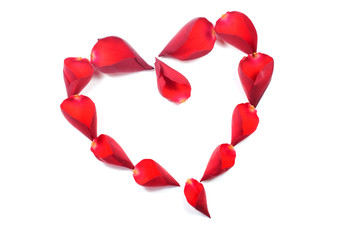 Heart of rose petals on a white background