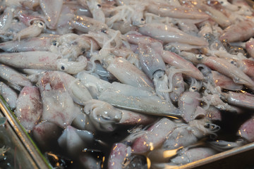 Squid in fresh market, Sea Food.