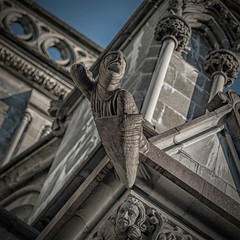 Trondheim Nidaros Cathedral Gargoyle Templar Knight