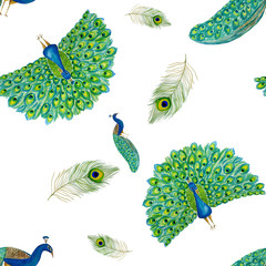Watercolor hand drawn seamless pattern with bright peacock