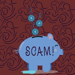 Conceptual hand writing showing Scam. Business photo showcasing Dishonest Act Fraud Trick People for making money