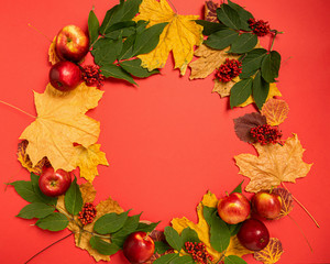 Autumn yellow leaves and red apples are laid out in round frame red background. Flat layout. Autumn concept postcard.