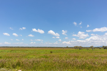 large outdoor grass field at Phatthalung, Thailand