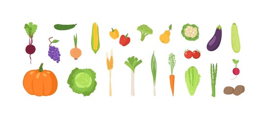 Bundle of ripe fresh organic fruits and vegetables isolated on white background. Set of natural crops, wholesome vegetarian products, fresh healthy food. Flat cartoon colorful vector illustration.