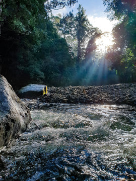 Bellingen Creek