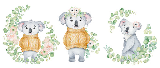Koala bear cute animal character watercolor illustration
