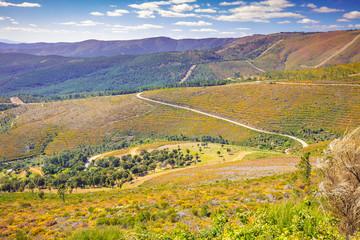 Beautiful panoramic mountain landscape. View from mount of valley and mountains. Picturesque...