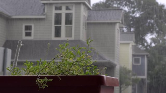 Storming in Houston over planter