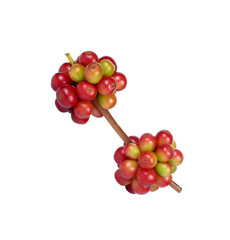 fresh coffee beans isolated on white background