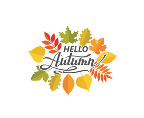 hello autumn lettering label with woody leaves isolated on white background