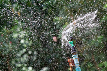 Springer or artificial rain machine is watering the plants to be wet by splashing water around.
