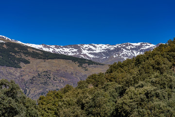 Naklejka na ściany i meble Bubion in La Alpujarra Granadina, Sierra Nevada, Spain.