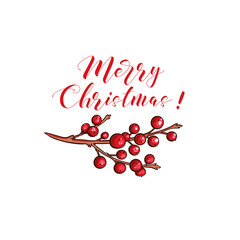 Merry Christmas 2020 greeting card color template. Holly red berries isolated on white background. Holiday ink brush calligraphy. Xmas, New Year party vector poster, handwritten lettering benner