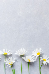 grey concrete background with daisies
