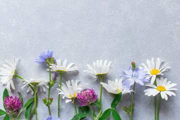 Naklejka na ściany i meble grey concrete background with wildflowers