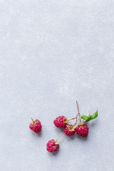 grey concrete background with raspberry, minimalism