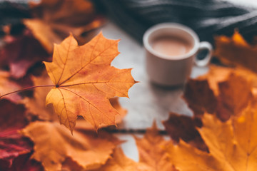 Autumn home cozy composition a cup of coffee with maple leaves.Selective soft focus