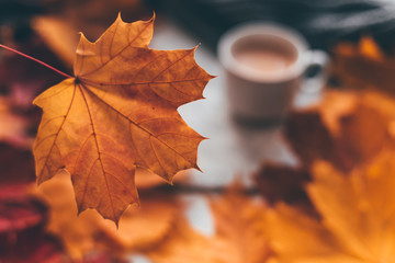 Autumn home cozy composition a cup of coffee with maple leaves.Selective soft focus