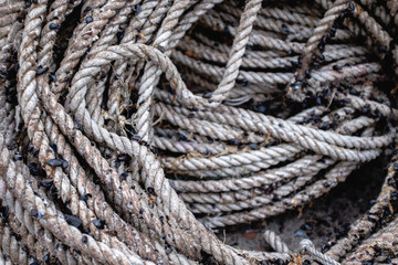 Fototapeta na wymiar A shot of old ropes on a dock.