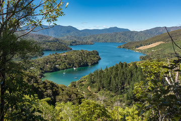 Naklejka na ściany i meble Looking across the beautiful and stunning Marlborough Sound and the surrounding hills at the top of the South Island, New Zealand on a sunny day.