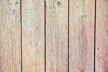 Fototapeta premium Wooden planks. Weathered texture background.